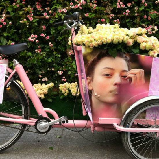 vehicule triporteur melvita